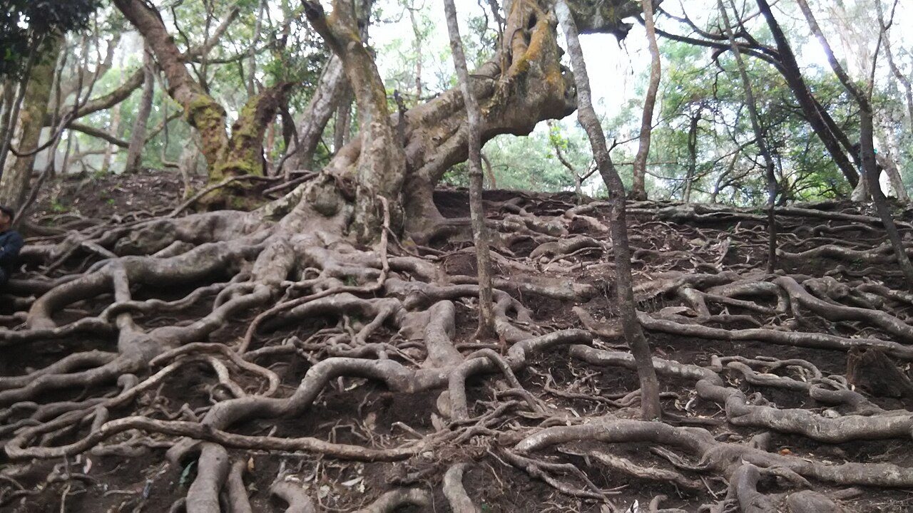 Guna Caves