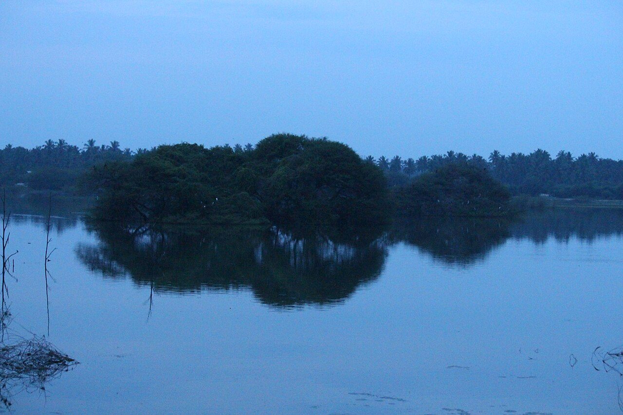 Vellode Birds Sanctuary
