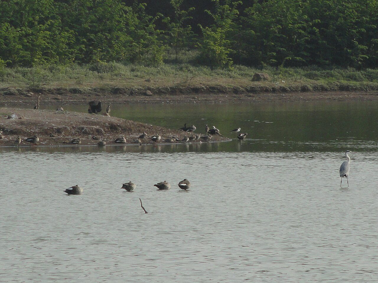 Vellode Birds Sanctuary