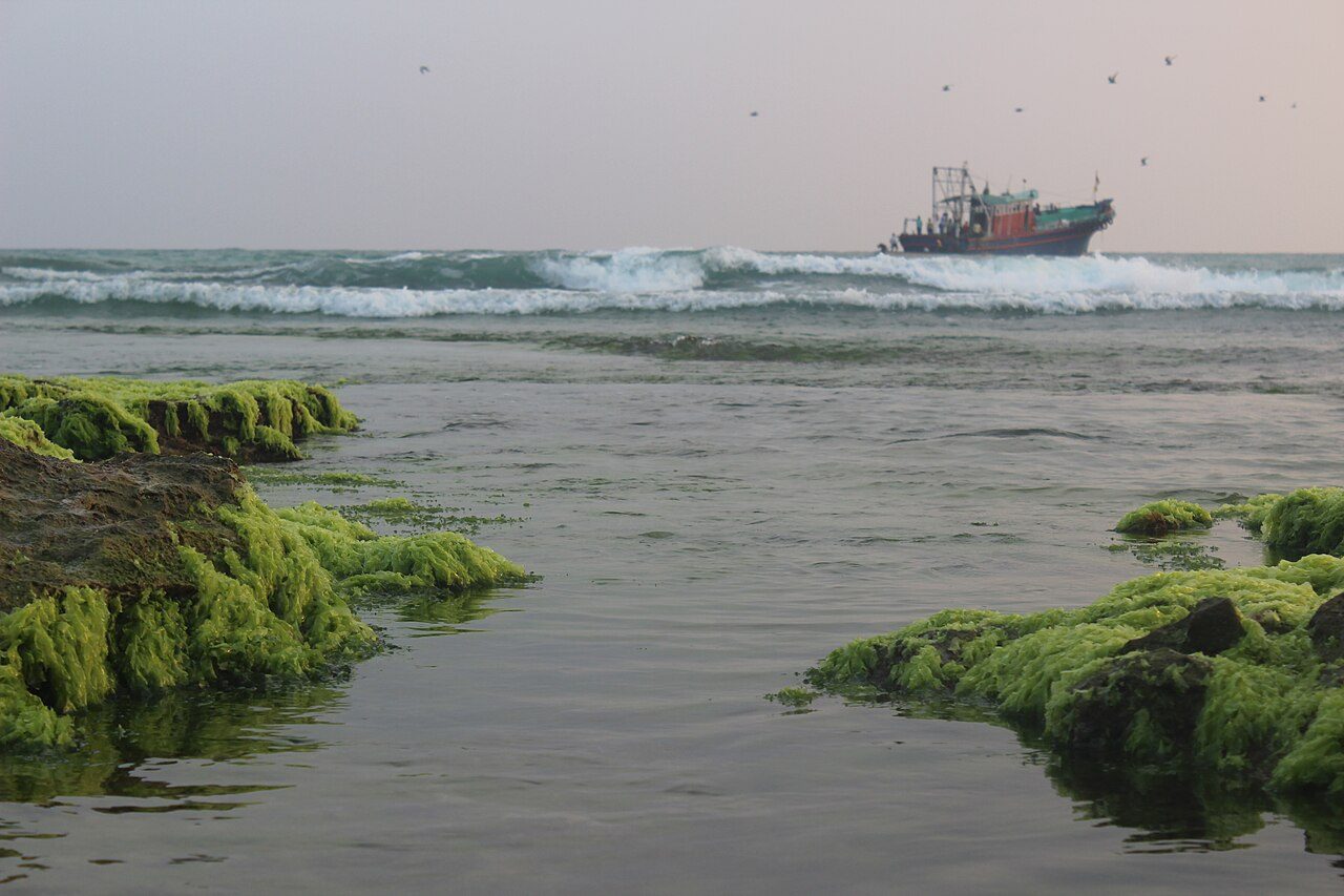 Triveni Sangamam