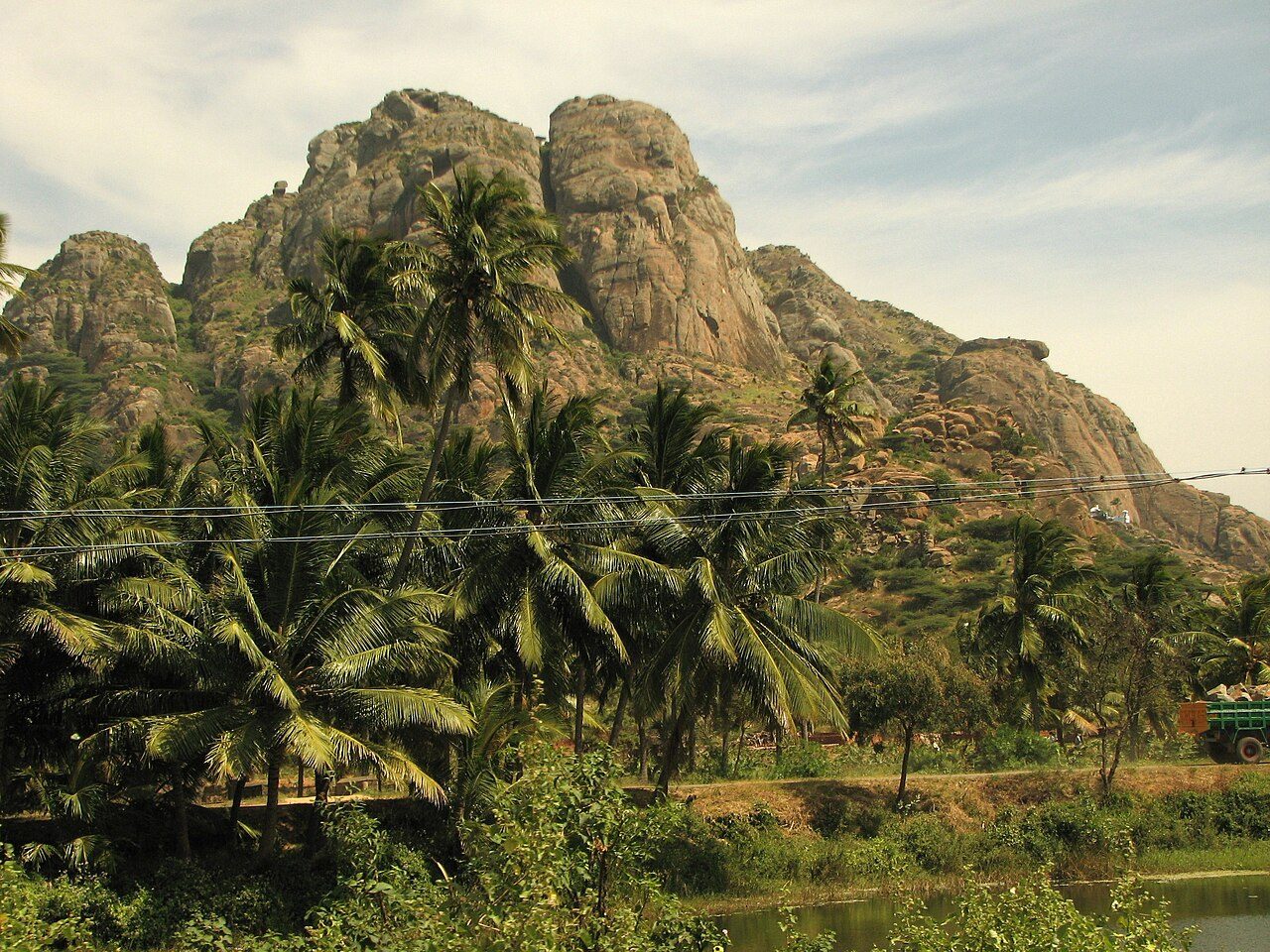 Maruthuvazhmalai Hill.