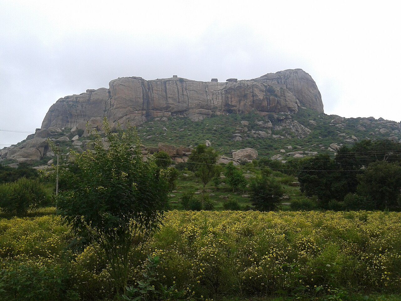 Rayakottai Fort