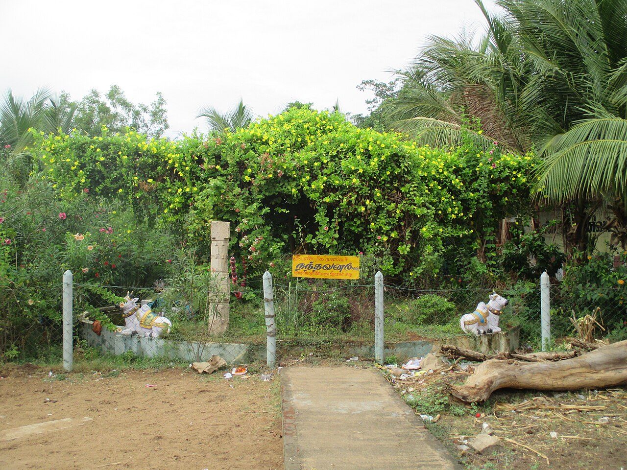 Kayarohanaswamy Temple