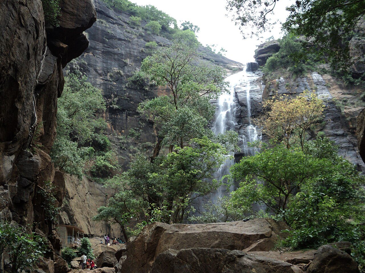 Agaya Gangai Falls