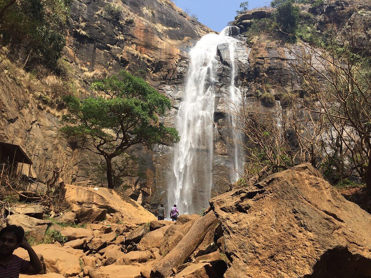 Agaya Gangai Falls
