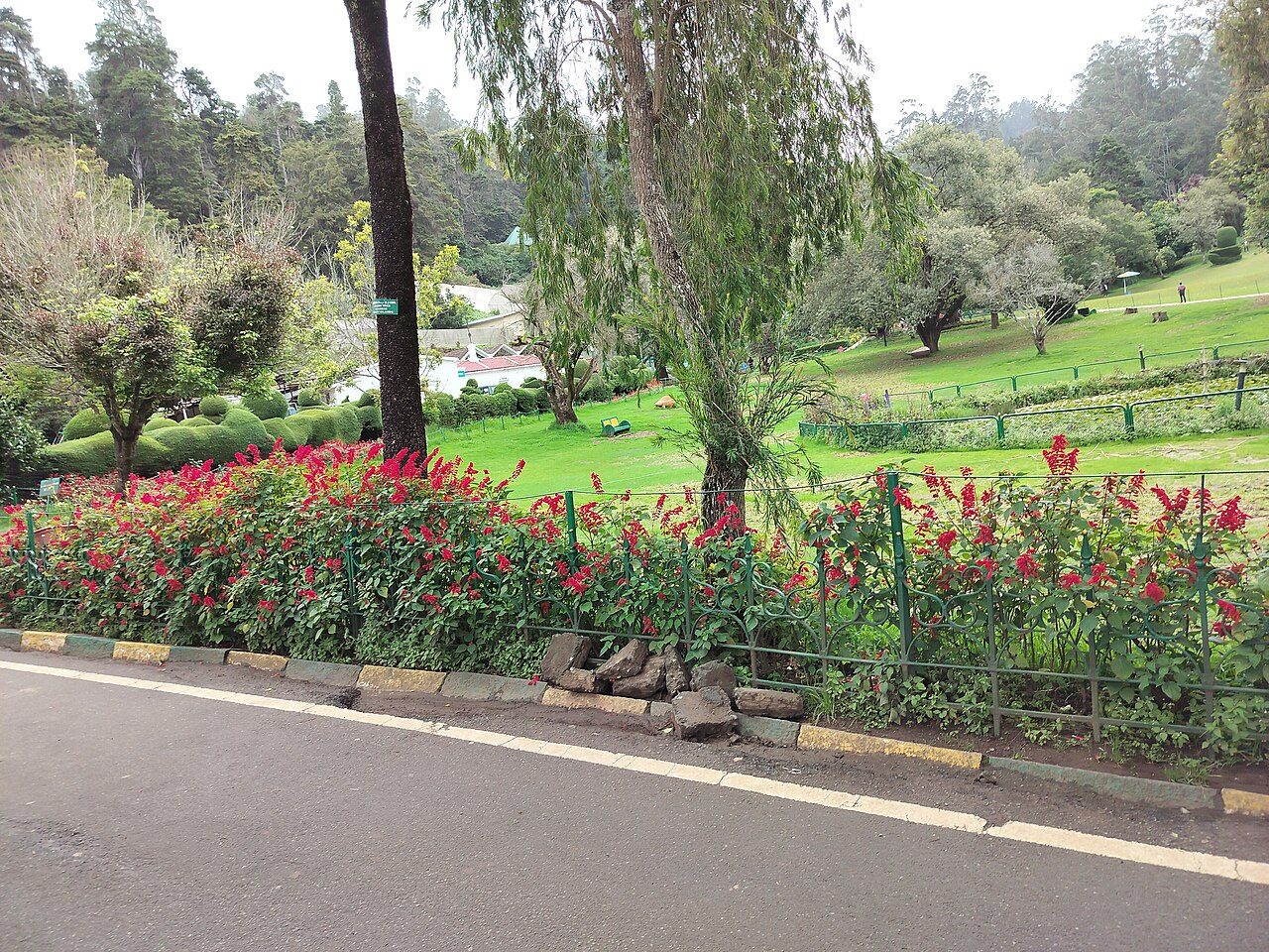 Government Botanical Garden Ooty
