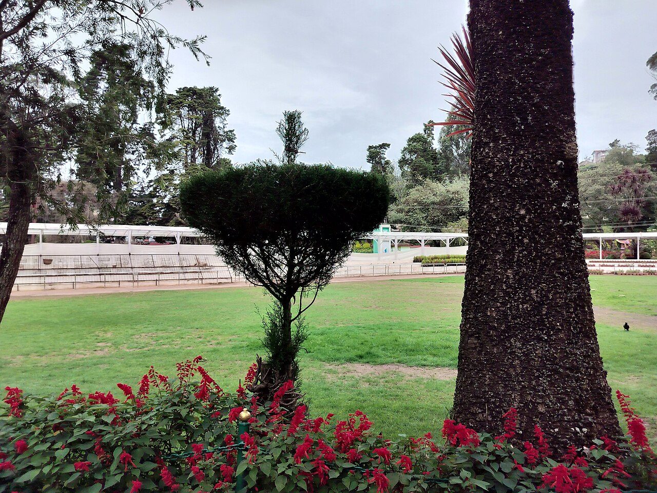 Government Botanical Garden Ooty