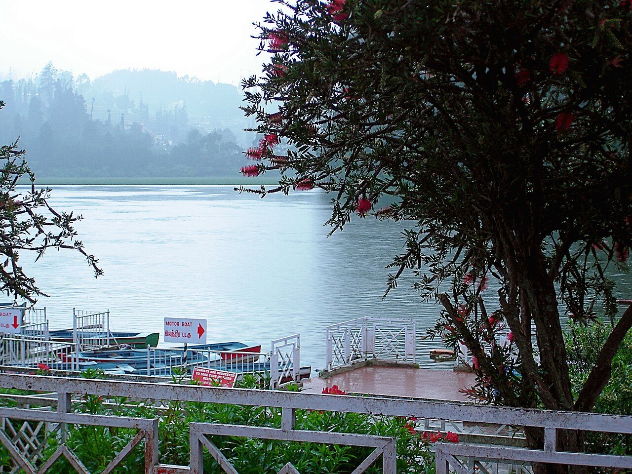 Ooty Lake