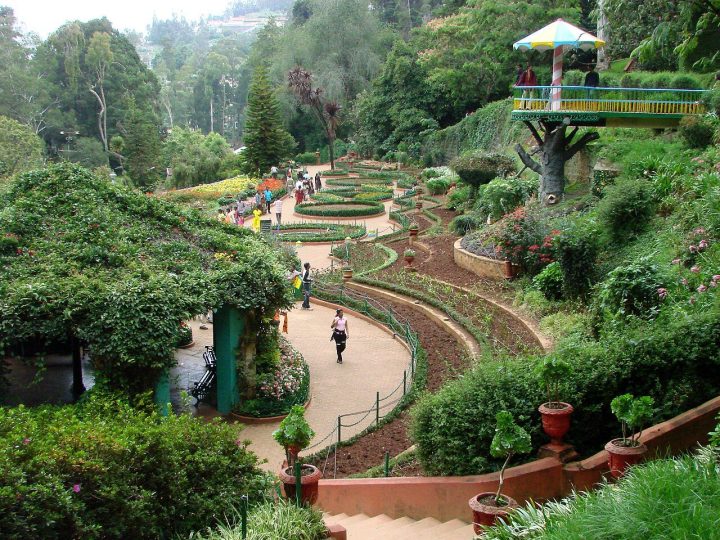 Government Botanical Garden Ooty