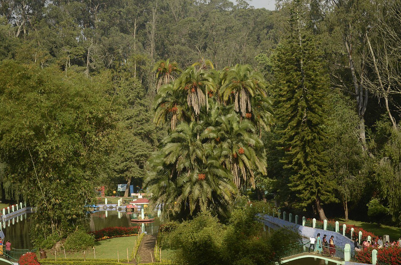Sims Park Coonoor