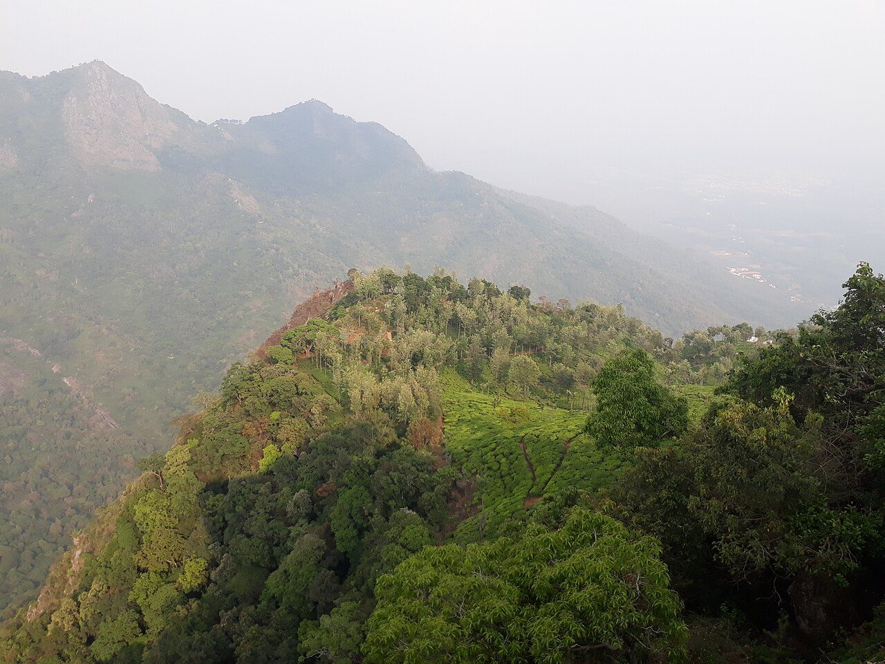Dolphins Nose Coonoor