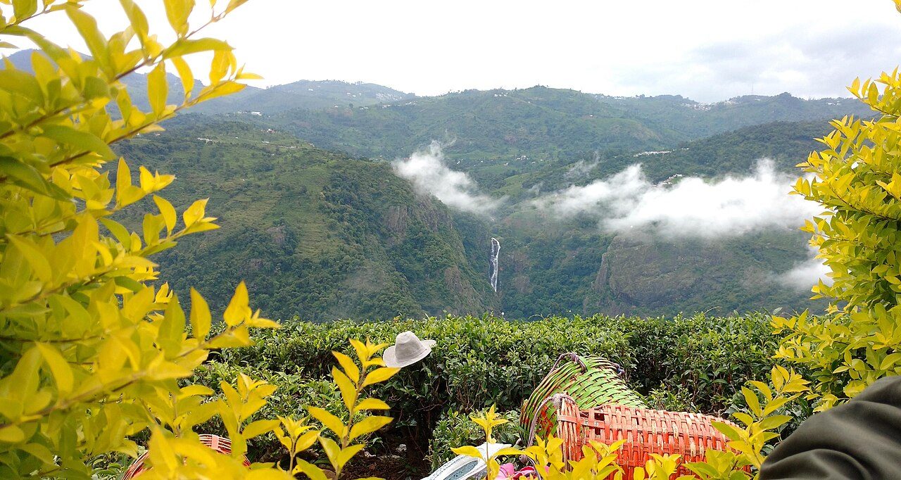 Dolphins Nose Coonoor