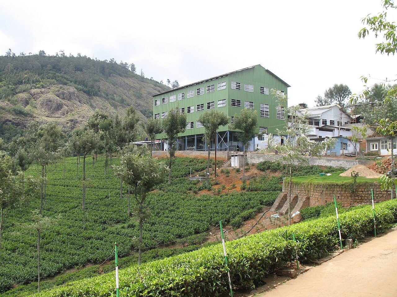 Highfield Tea Factory Coonoor