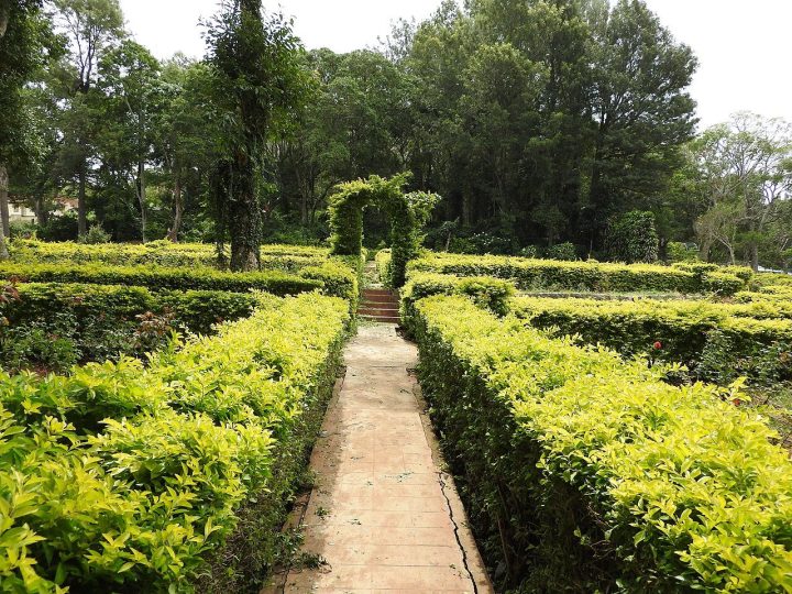 Yercaud Rose Garden