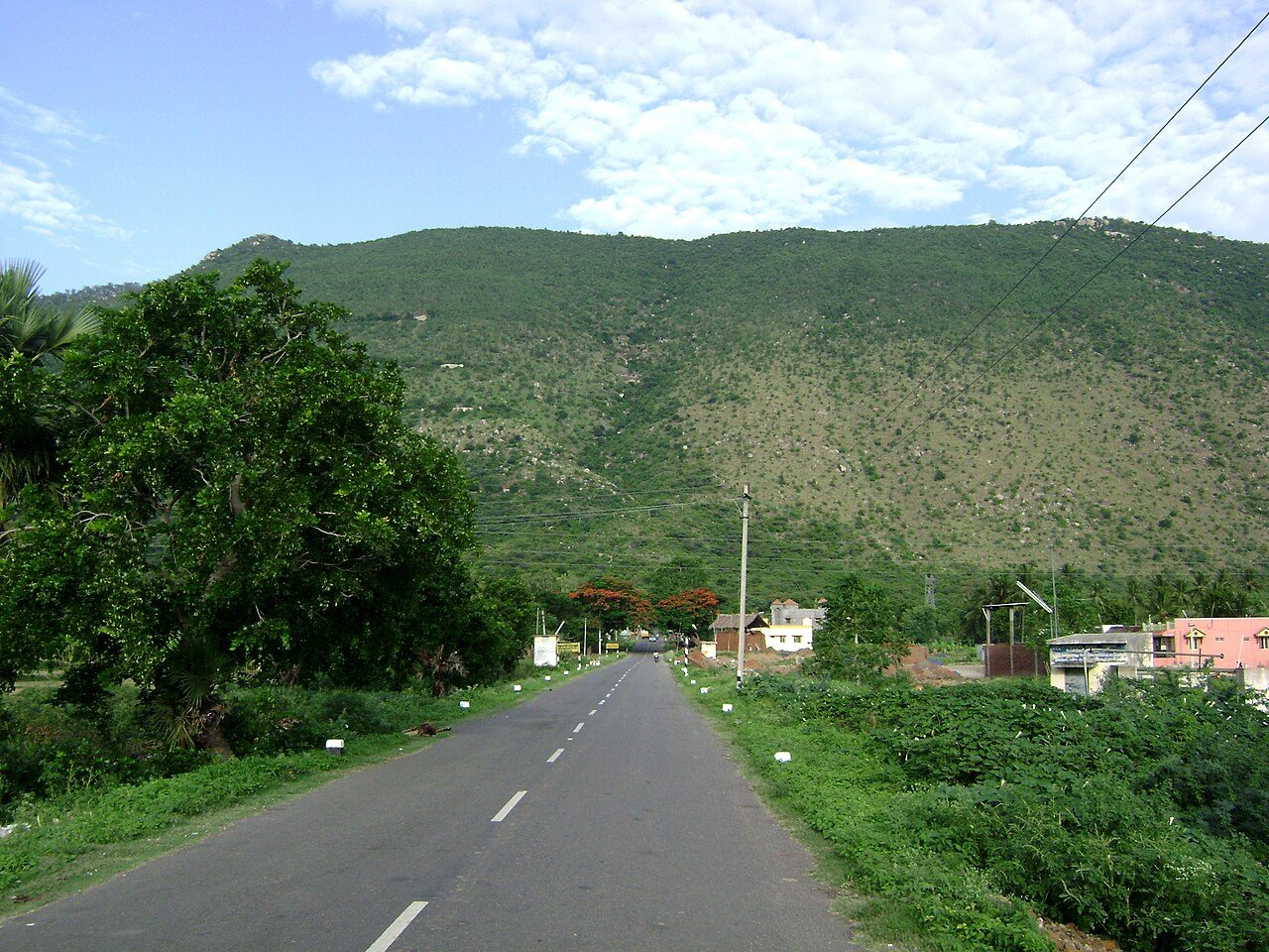 Yelagiri & Arcot Weekend: A Quiet Hill Station and Old Arcot in 2 Days