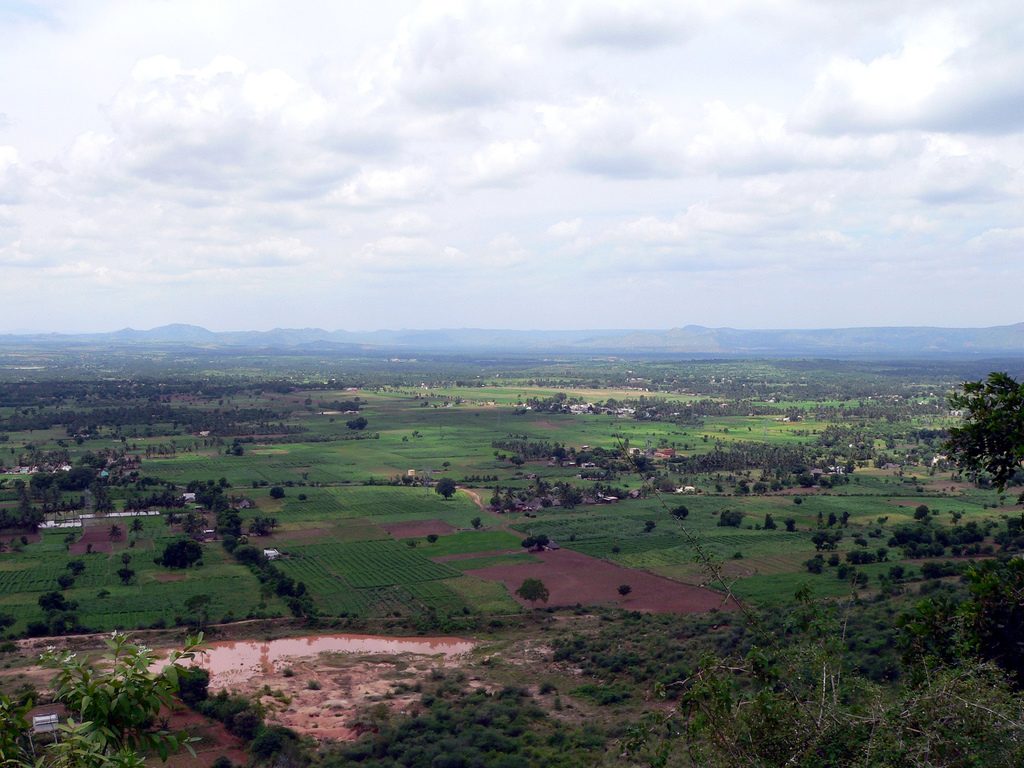 Yelagiri Hills