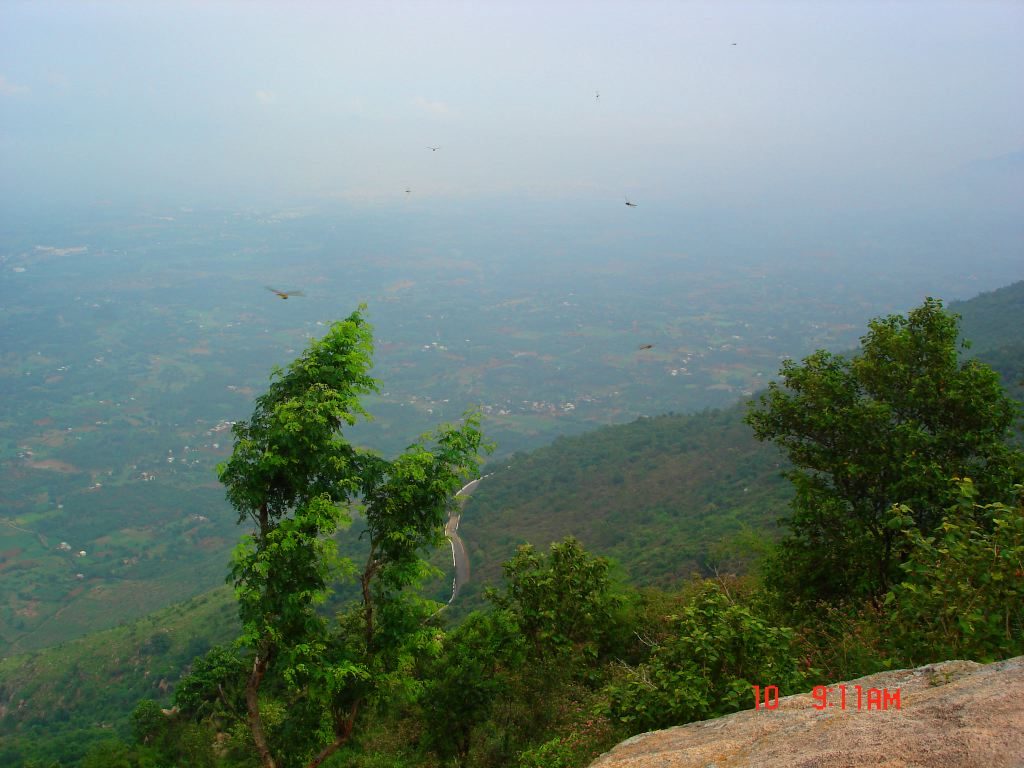 Yelagiri Hills