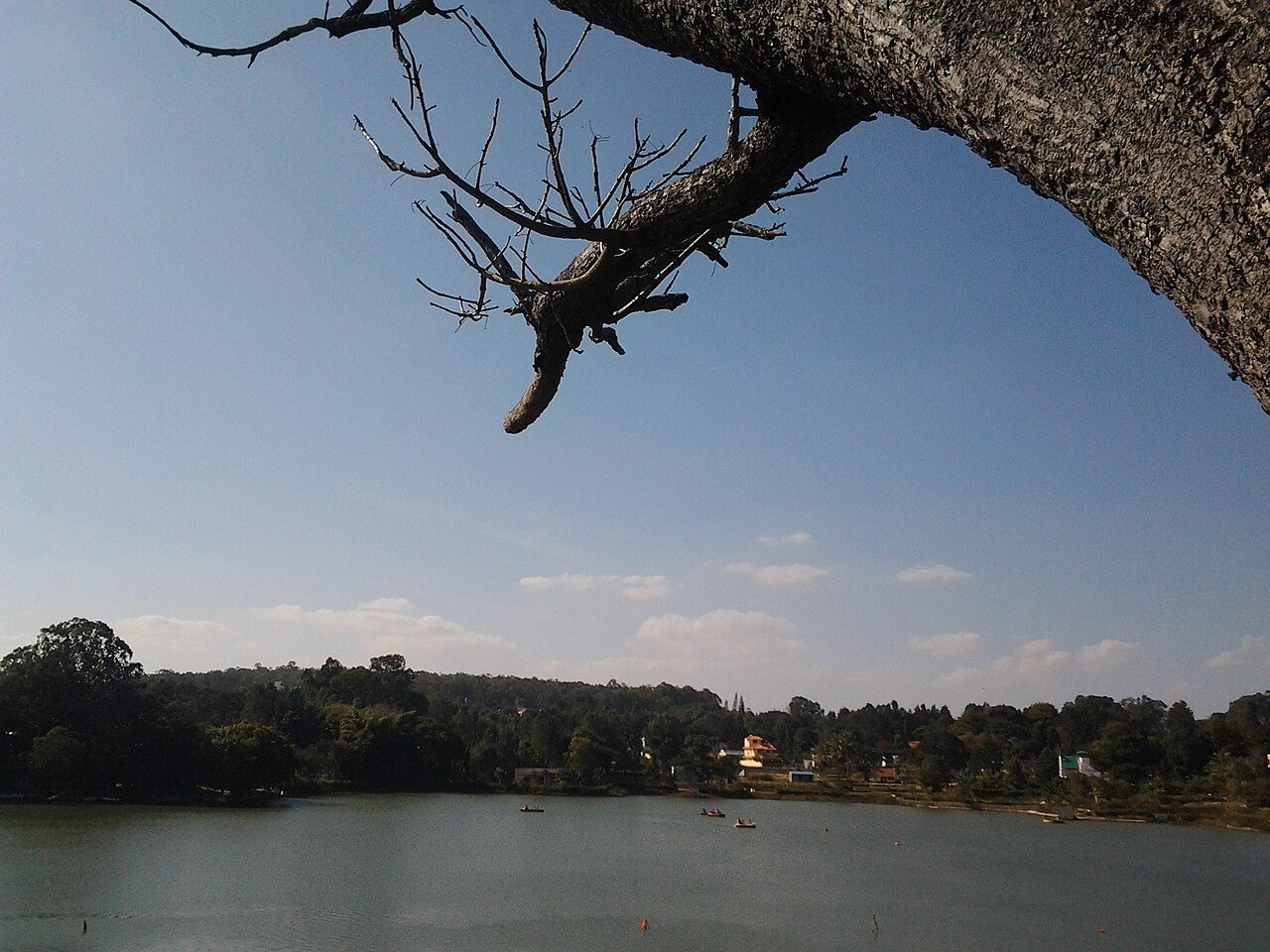 Punganoor Lake Yelagiri