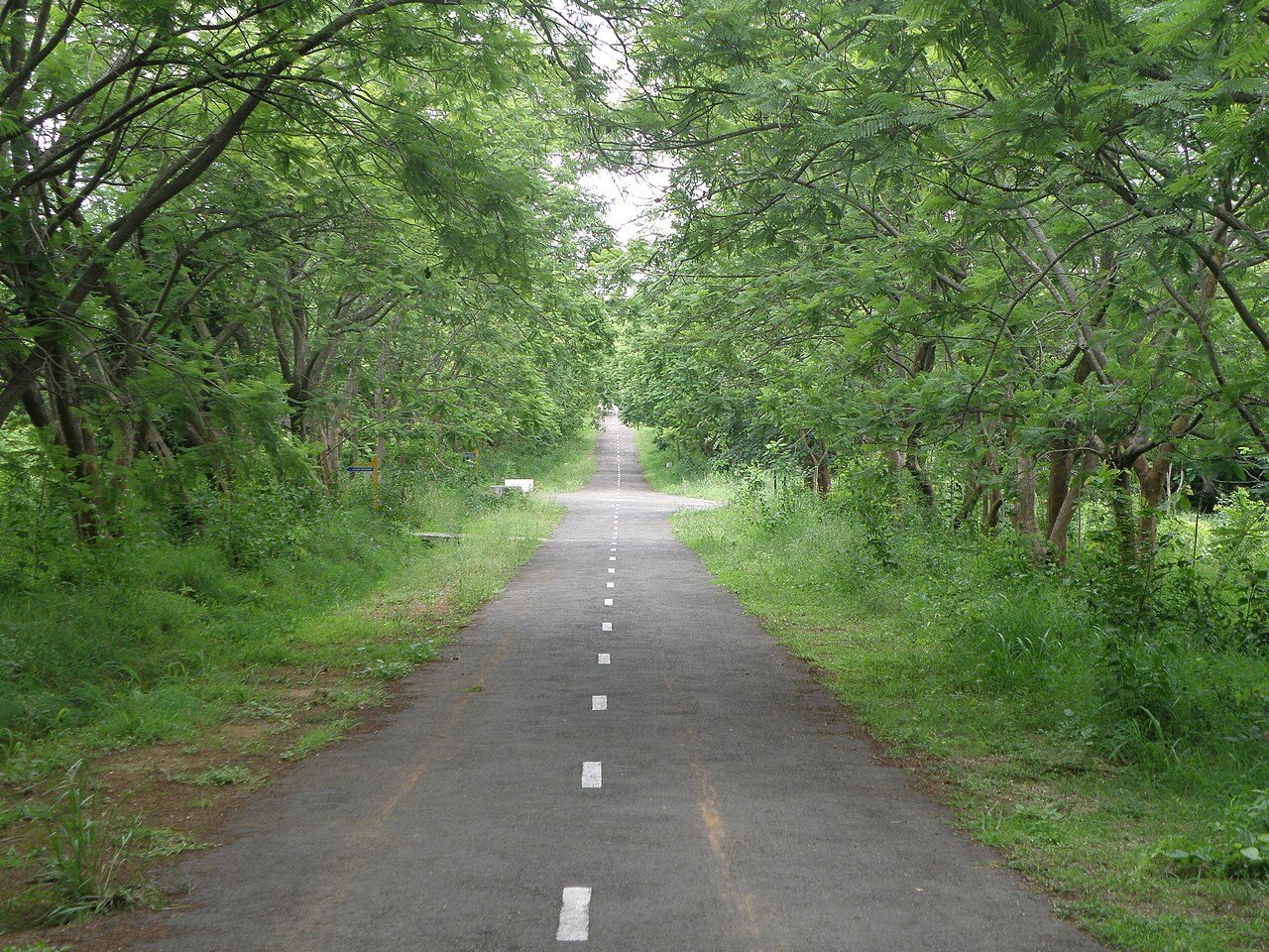 Vainu Bappu Observatory