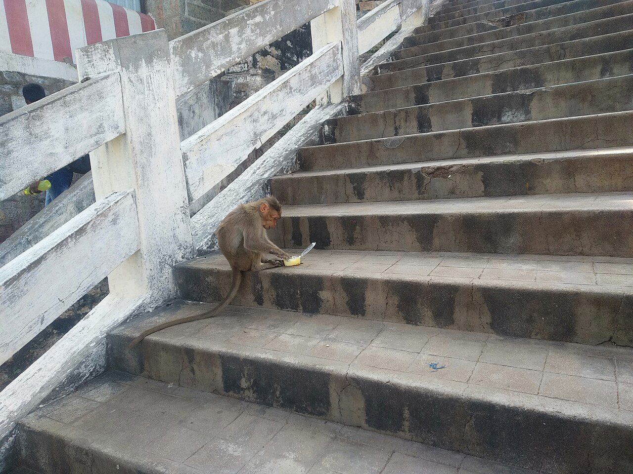 Thiruttani Murugan Temple