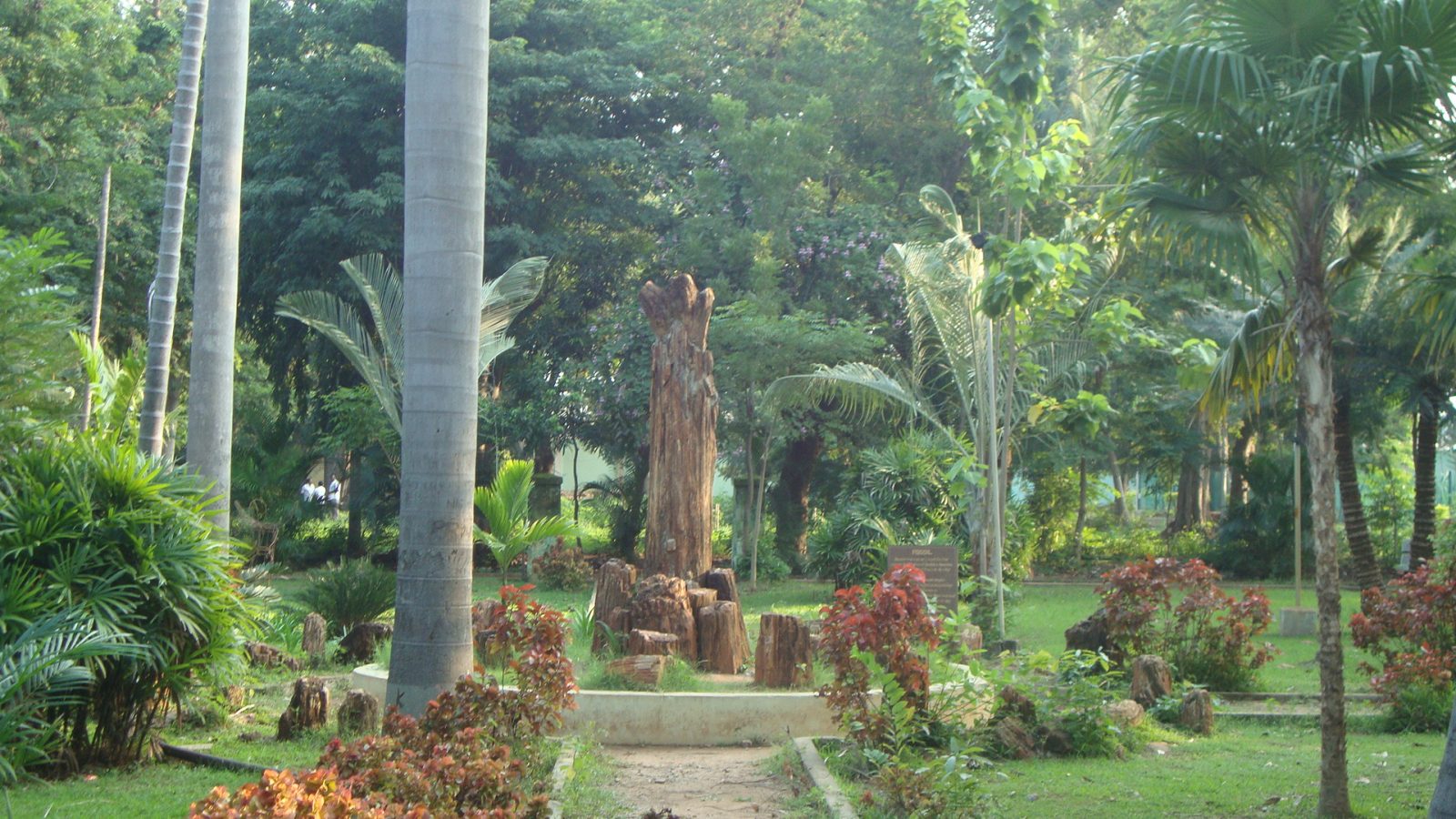 Botanical Garden Puducherry