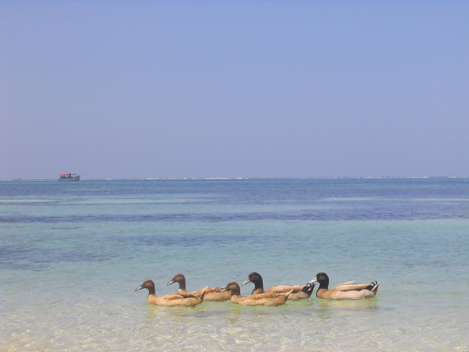 Kavaratti Lagoon