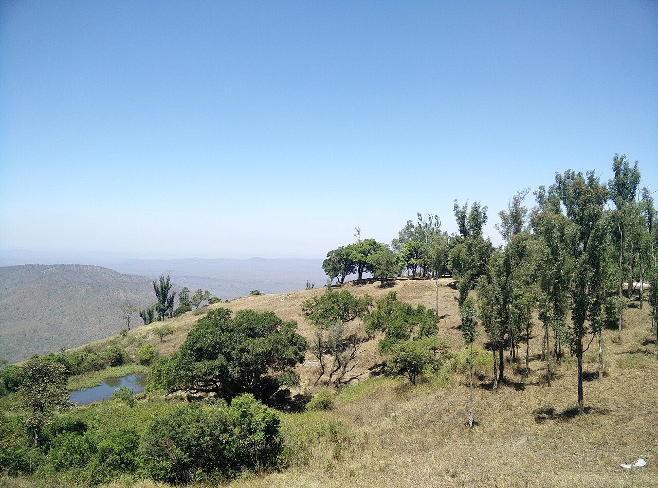 Gopalaswamy Betta