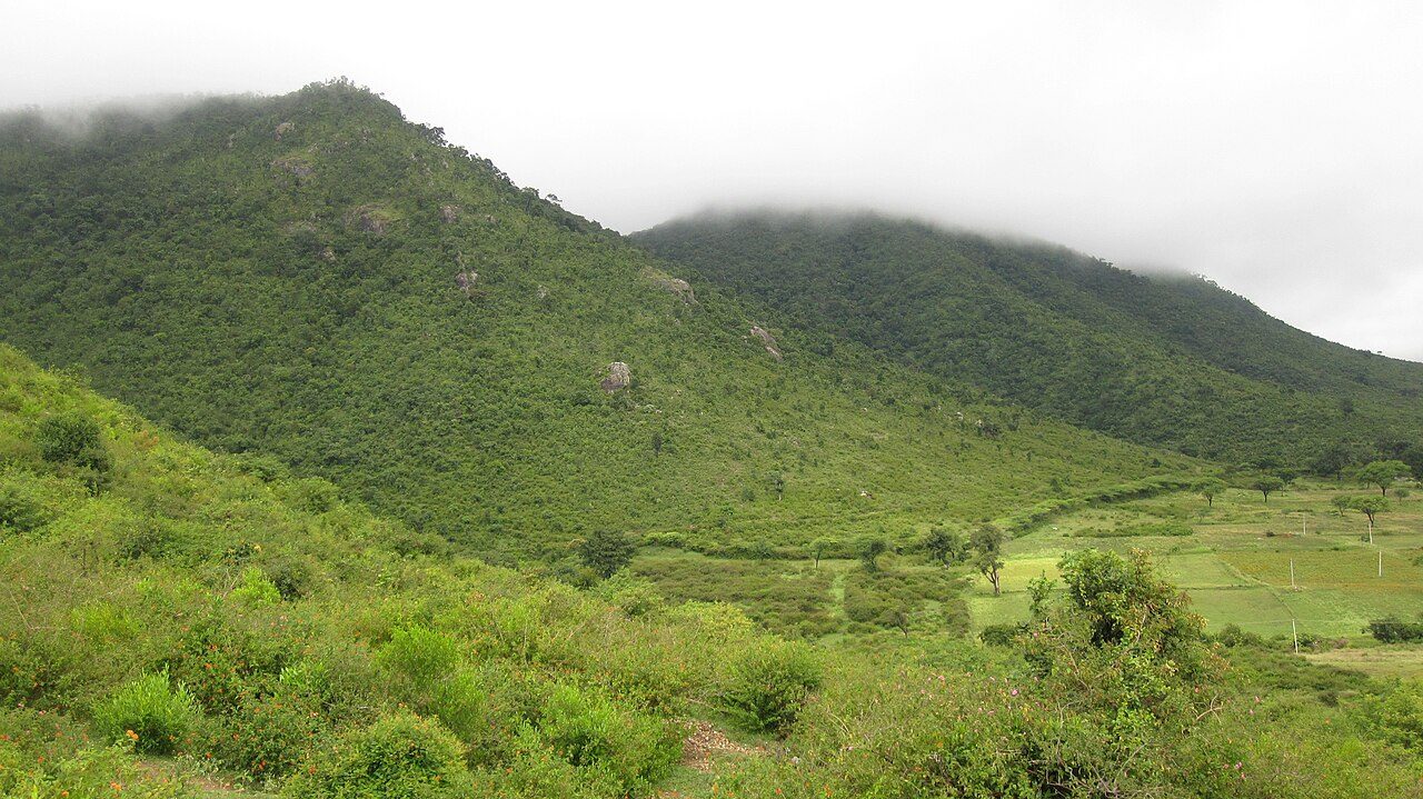 Gopalaswamy Betta