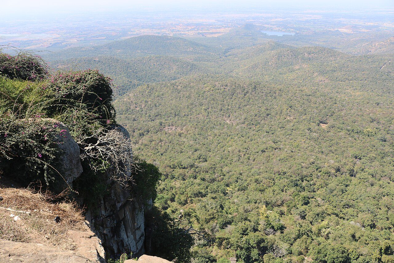Biligiriranga Hills