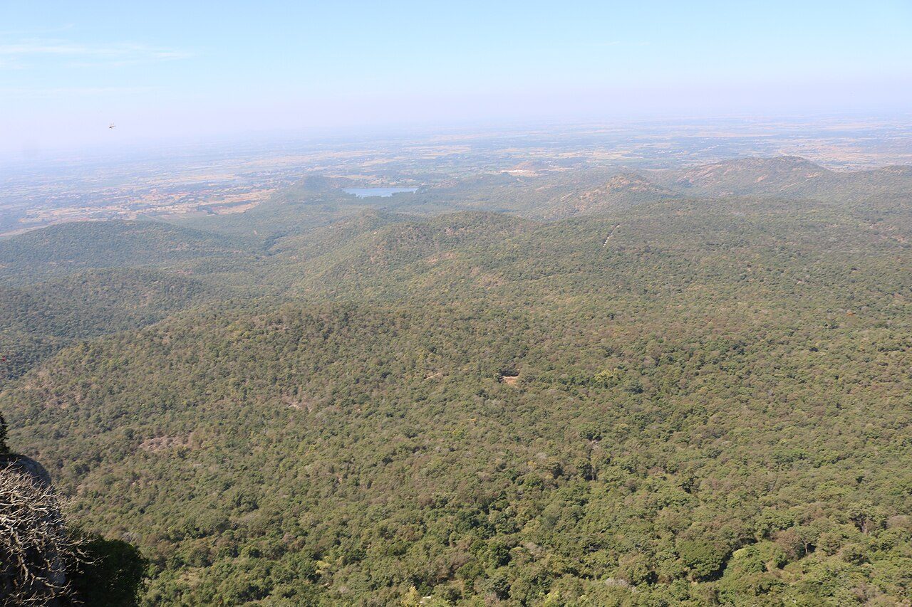 Biligiriranga Hills