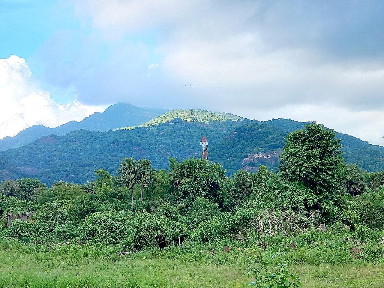 Vizag and Araku Valley in 4 Days: Beaches, Caves and Coffee Hills