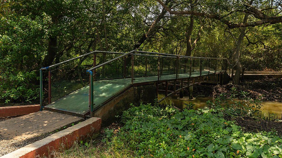 Coringa Wildlife Sanctuary