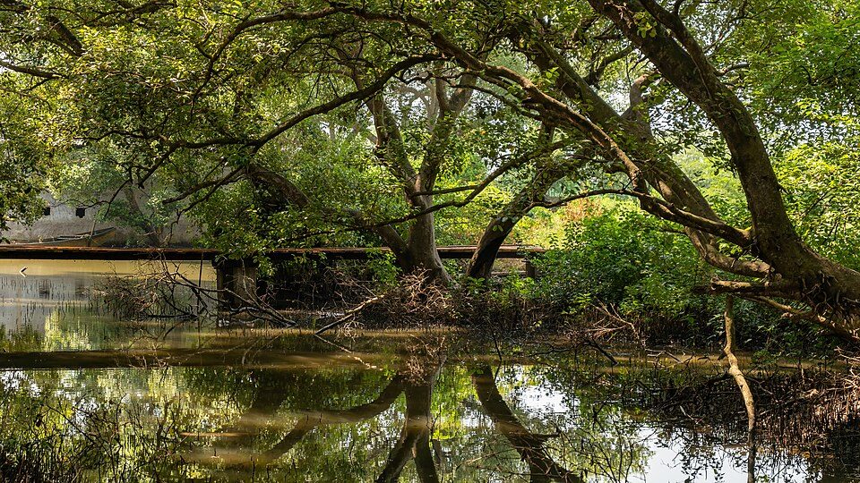 Coringa Wildlife Sanctuary