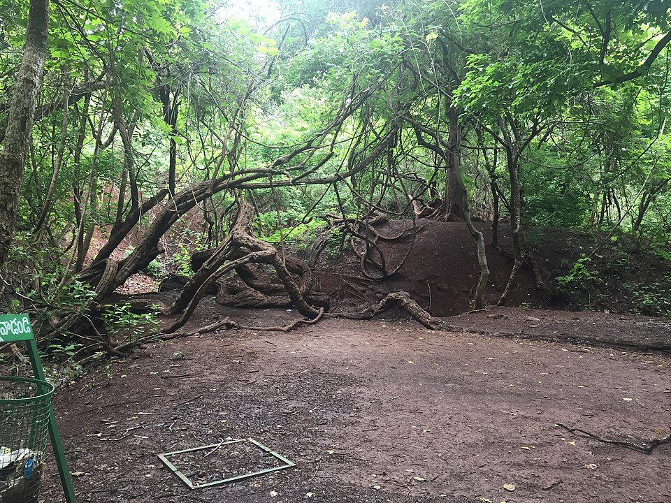 Ananthagiri Hills