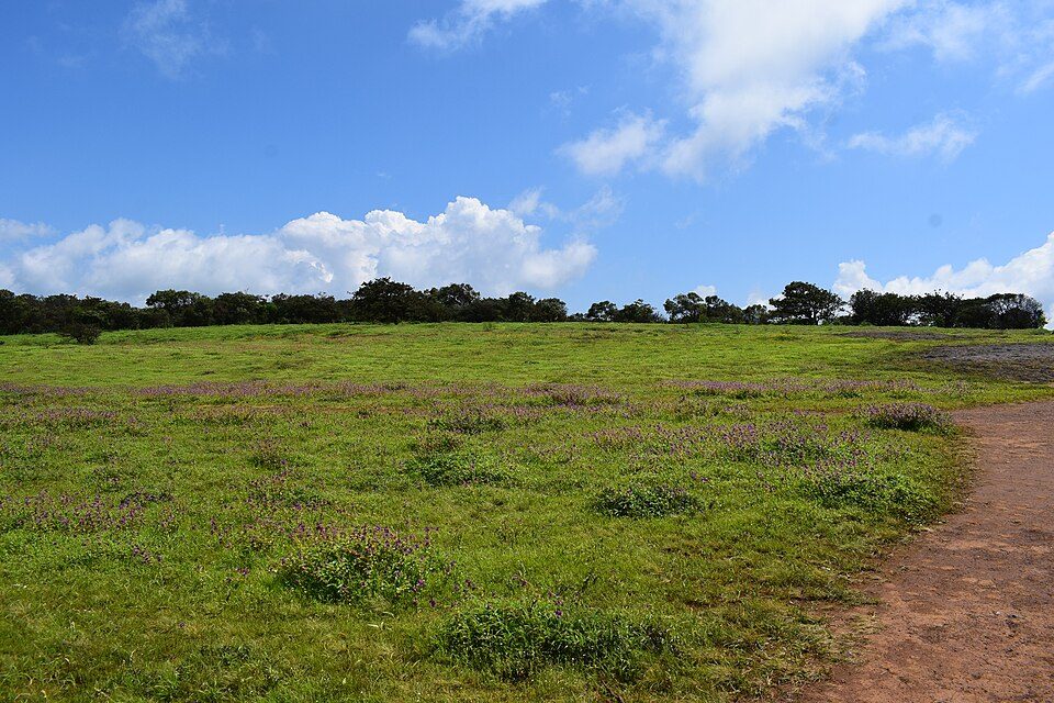 Kaas Plateau