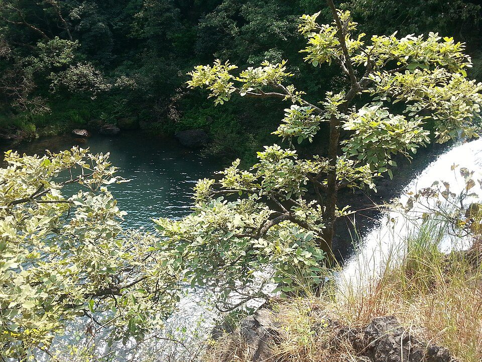 Thoseghar Waterfall