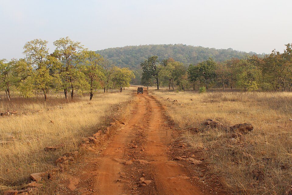 Tadoba Andhari Tiger Reserve