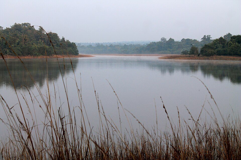 Tadoba Andhari Tiger Reserve