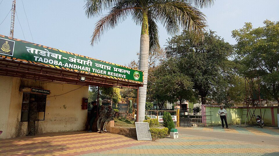 Tadoba Andhari Tiger Reserve