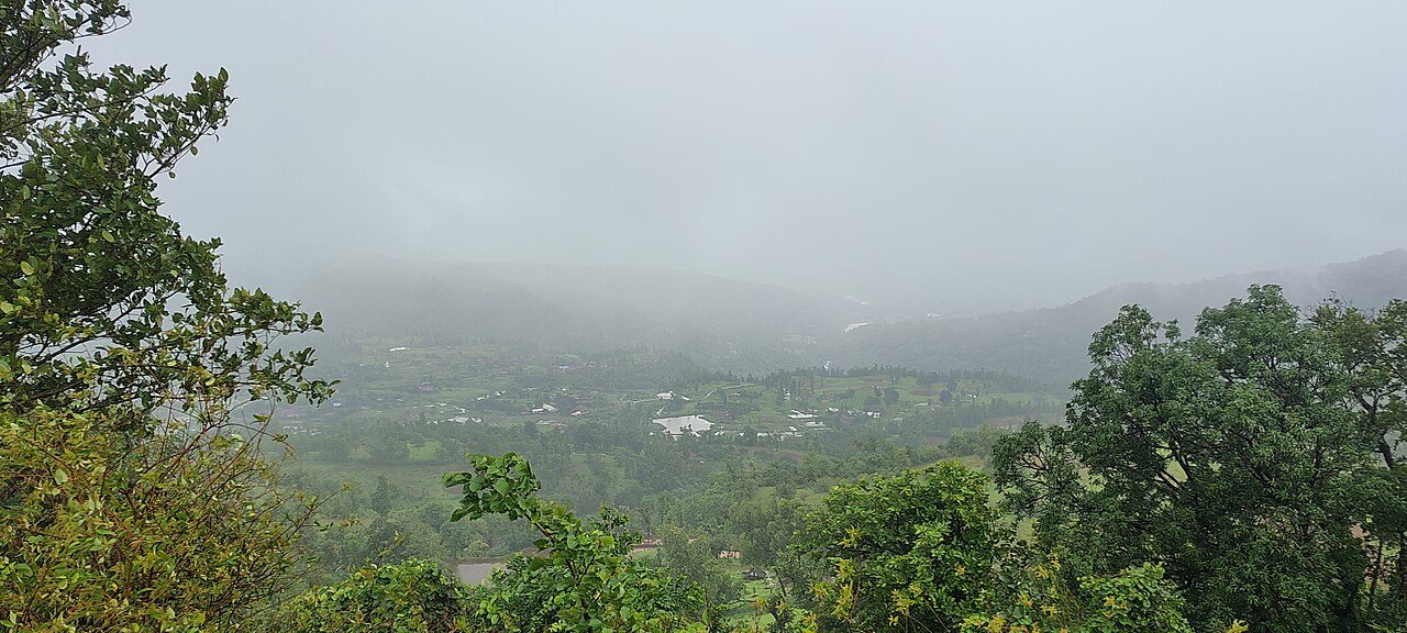 Wilson Hills