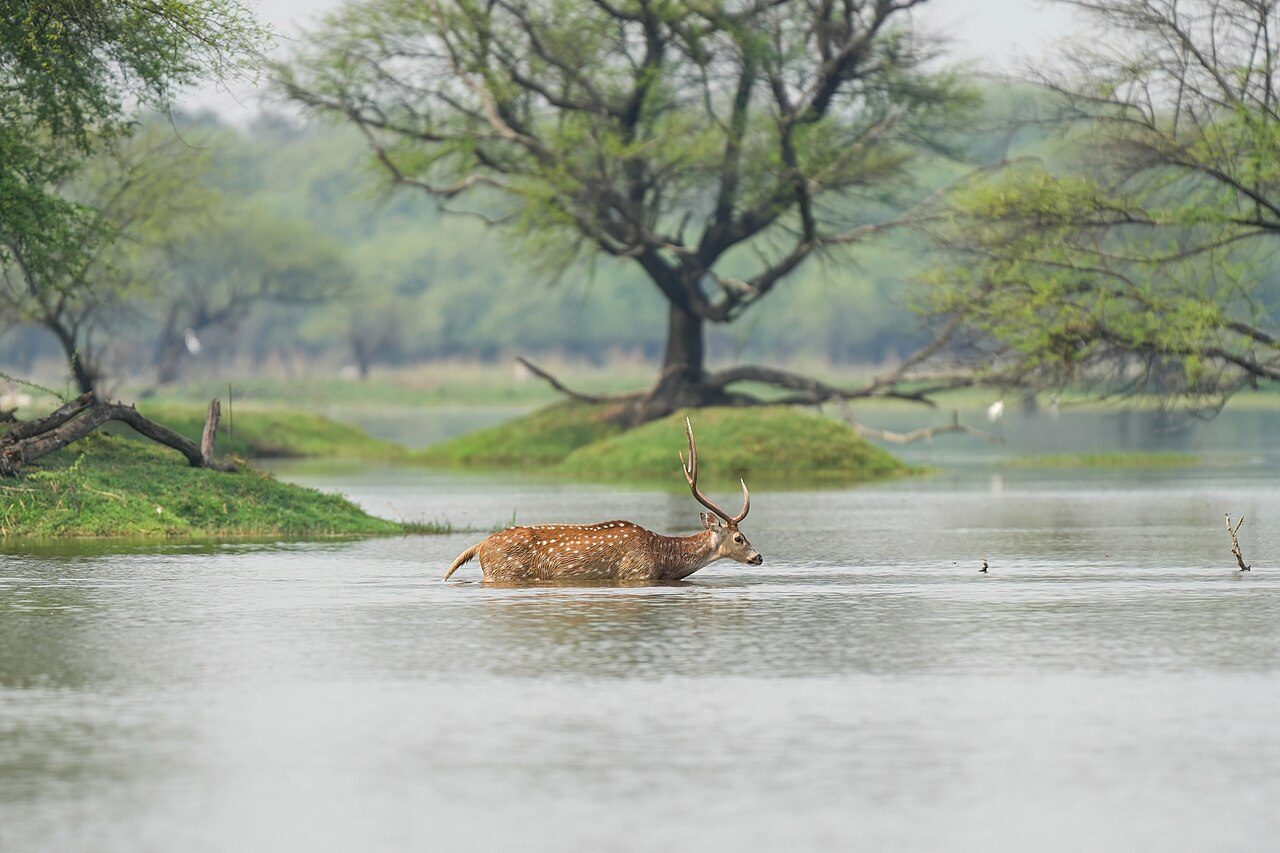 Keoladeo National Park
