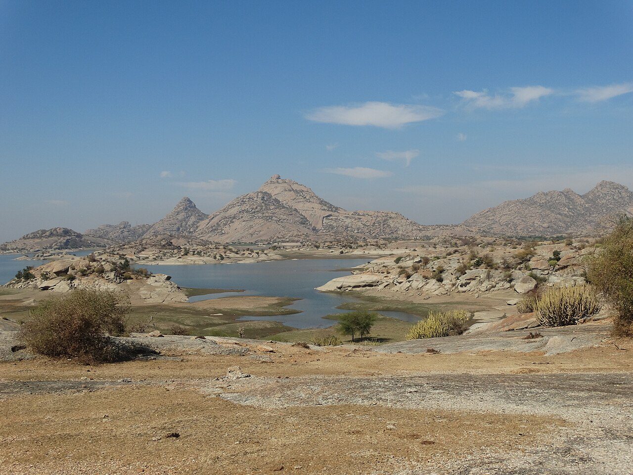 Jawai Dam