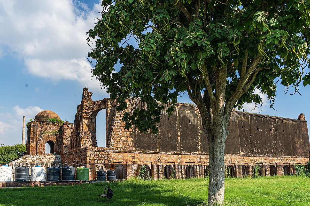 Feroz Shah Kotla Fort