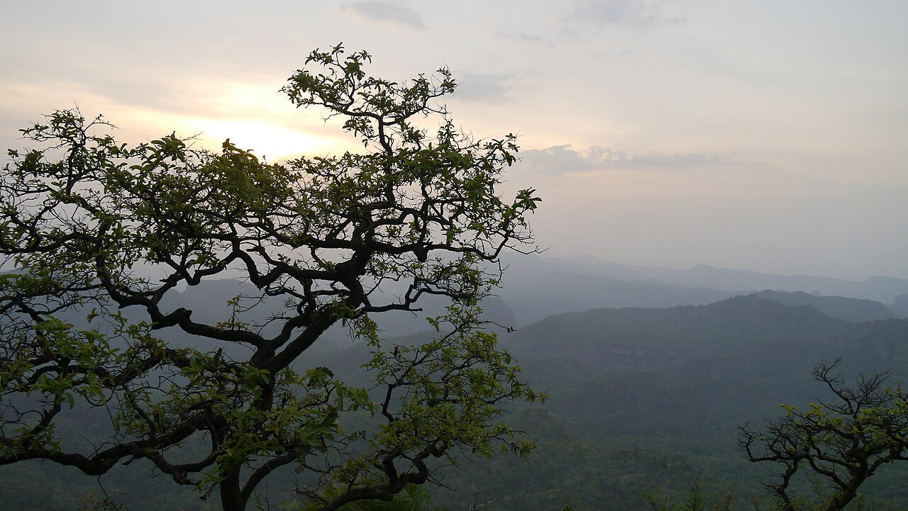 Dhoopgarh