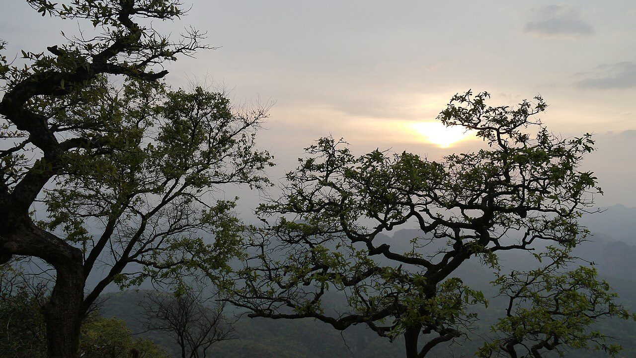 Dhoopgarh