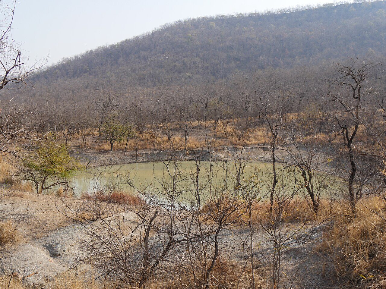 Panna National Park