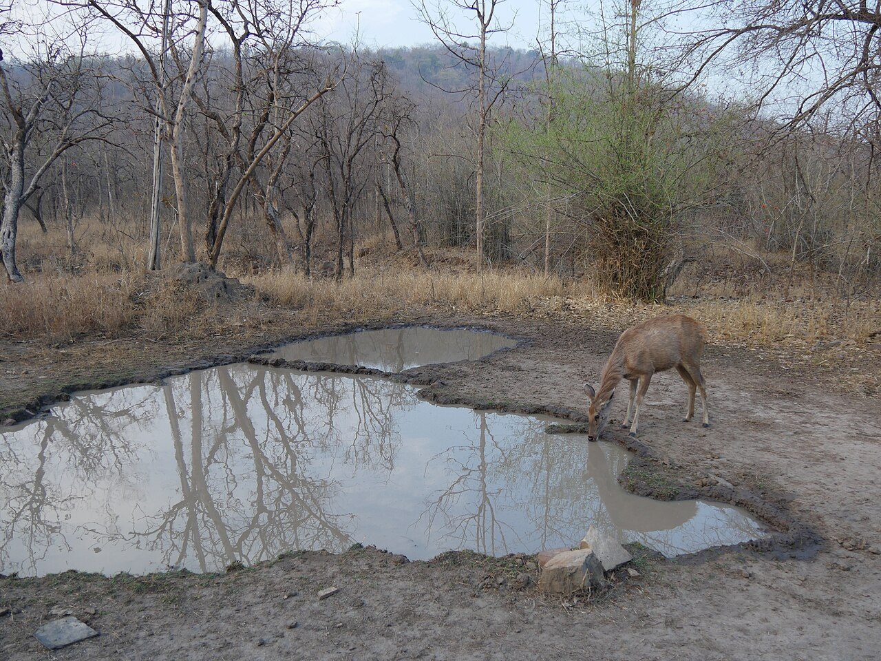 Panna National Park