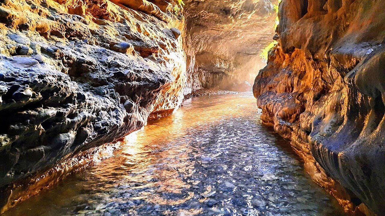 Robber's Cave Dehradun
