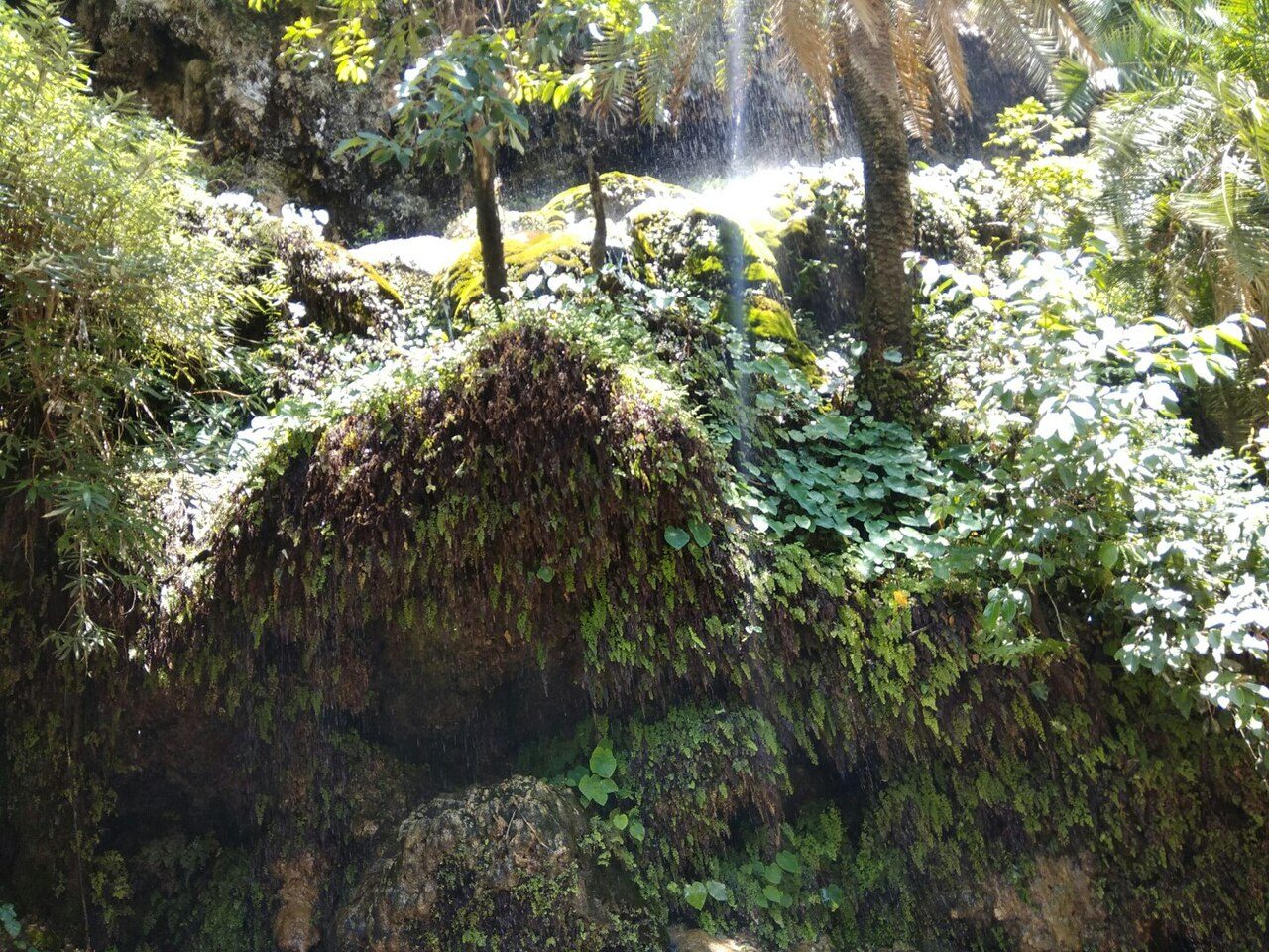 Sahastradhara