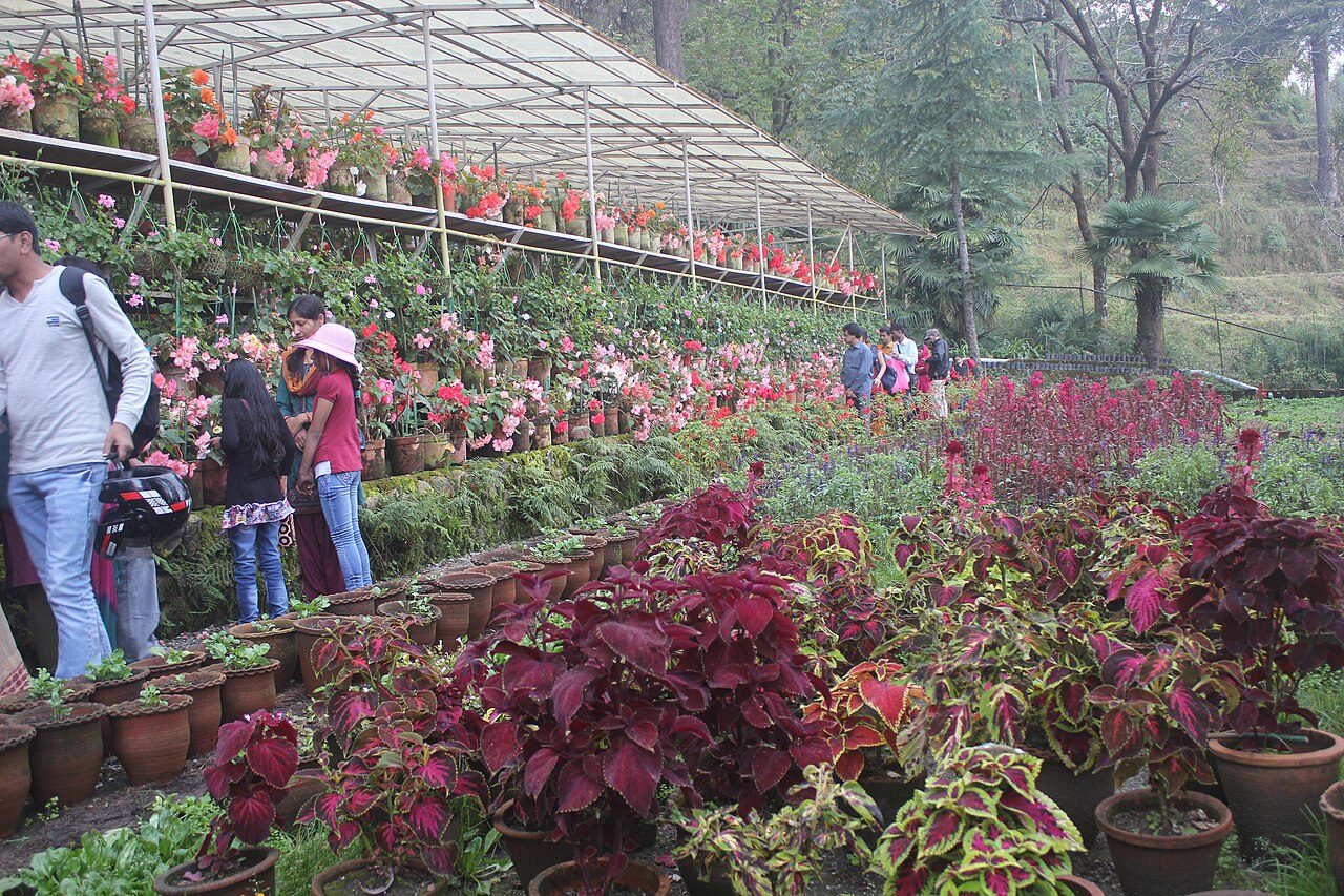 Company Garden Mussoorie